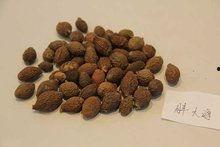 胖大海的视频,揭秘网红健身达人的健身秘诀与生活态度