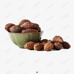 胖大海的视频,揭秘网红健身达人的健身秘诀与生活态度