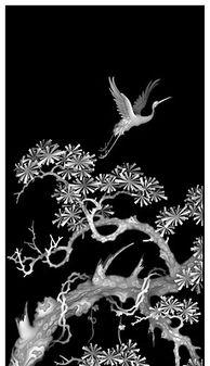 灰度视频素材,探索视频素材的深邃内涵