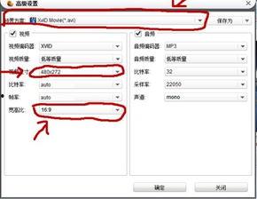 金正播放器格式的视频,揭秘热门视频格式背后的魅力