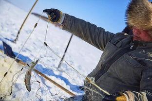 乌苏里江弹弓最新视频,挑战极限，展现户外运动魅力