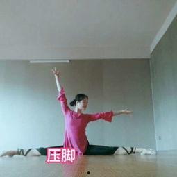 中华韵舞蹈视频