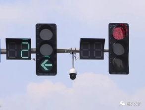 认识红绿灯视频,解码交通安全的信号灯奥秘