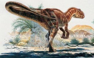 鲨齿龙vs霸王龙视频