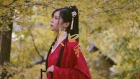 古风mv视频唯美,唯美MV中的诗意世界