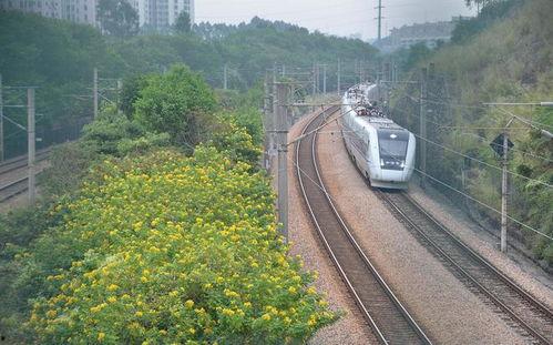 惠州火车视频,穿越时空的铁路之旅
